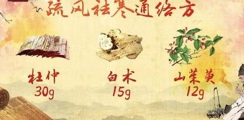 清风易散,探寻自然与人生的微妙哲理